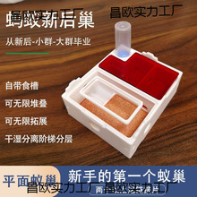 ρ��ƽ�泲�ɝ���x�º�Λρ�Ǳ���Λρ�����W��Λρ�^���