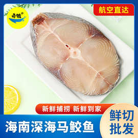 海南马鲛鱼新鲜鲜活冷冻海鱼海鲜批发切片马胶鱼中段