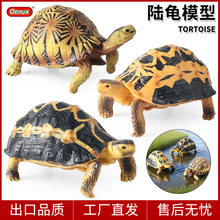 儿童野生动物模型仿真辐射陆龟蛛网陆龟乌龟金钱龟巴西龟礼品摆件