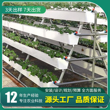 ����pvc���ϴ���Ҭ���߲˷Nֲ�� �o��С�����߲�����۲�ݮ�Nֲ��