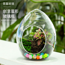 创意蛋形玻璃瓶 多肉植物玻璃花瓶 微景观苔藓瓶 diy造景瓶