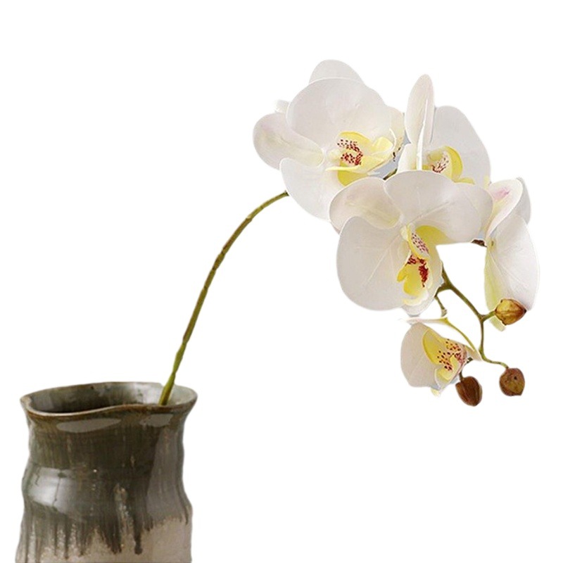 Phalaenopsis flor artificial sensación avanzada orquídea pantalla flor sala de estar mesa de comedor entrada decoración de la boda decoración floral