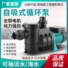 �S��ֱ�Npp������������Ӿ��ѭ�hˮ�ô������ߓP�̶�����Ӿ��