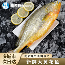 ���N�O�r�����r�����S���~ ���r����r��~����С�S�~ 2-2.1��/