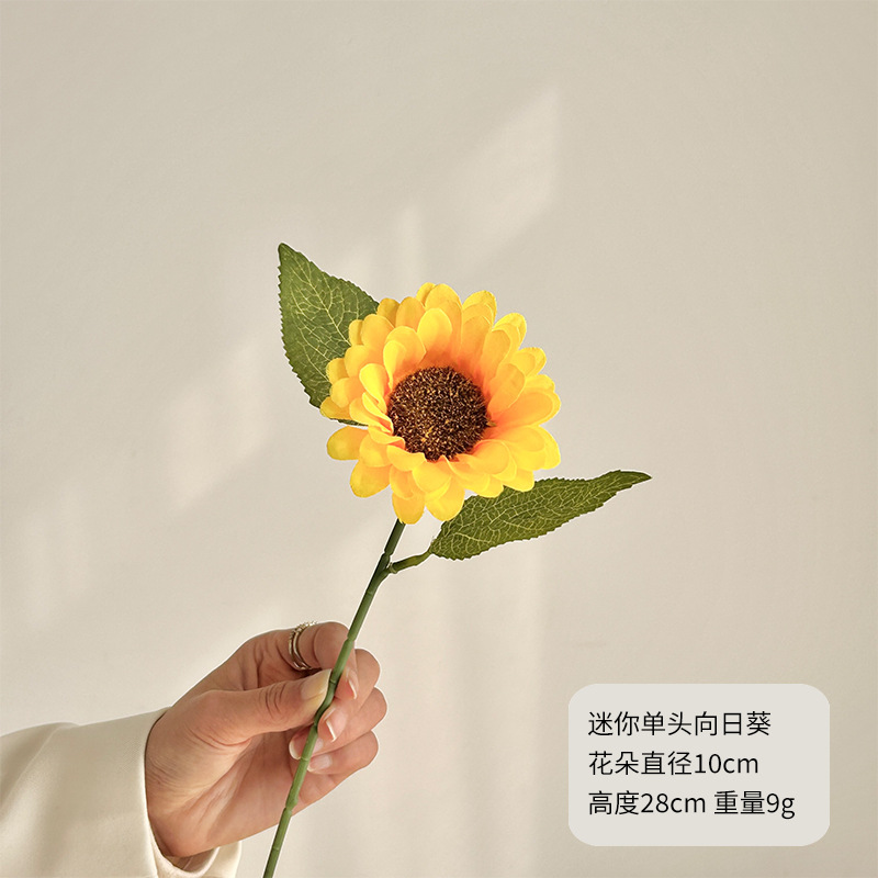 Mini girasol de una sola cabeza