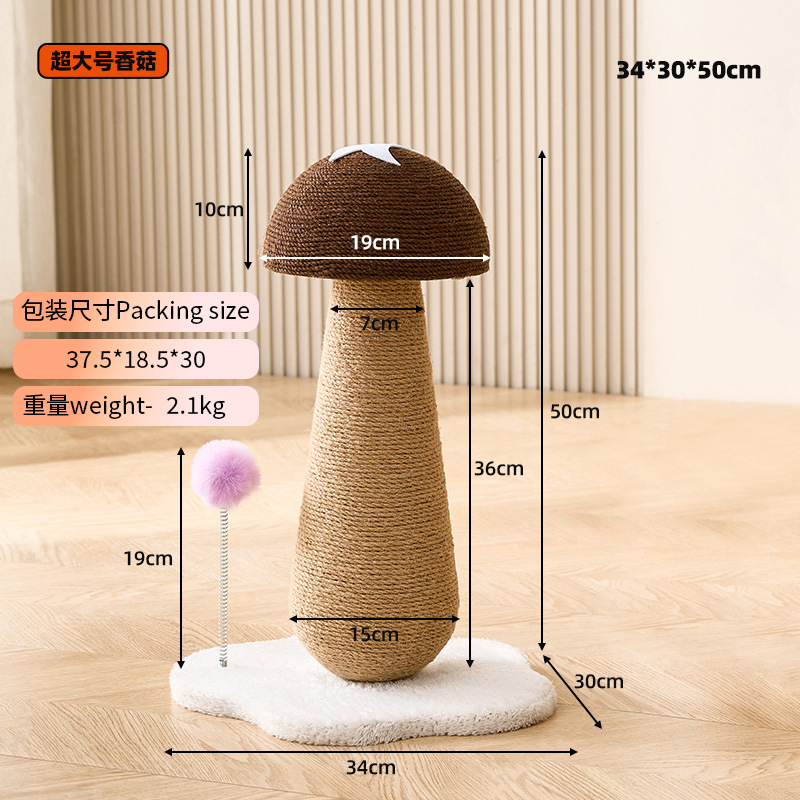 갈색 버섯 표준 버전