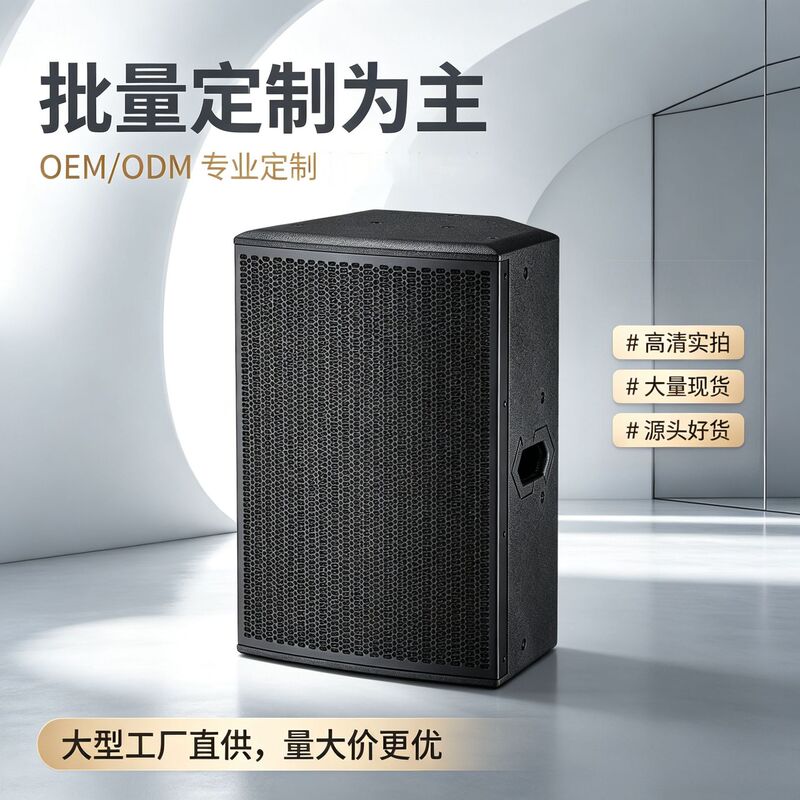 Stage monitor speaker Single 12inch professional monitoring speaker for outdoor performances, weddings, and band monitor use with full-range sound
