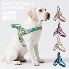 宠物胸背遛狗专用背心式外出背带网红防挣脱外贸跨境宠物牵引绳