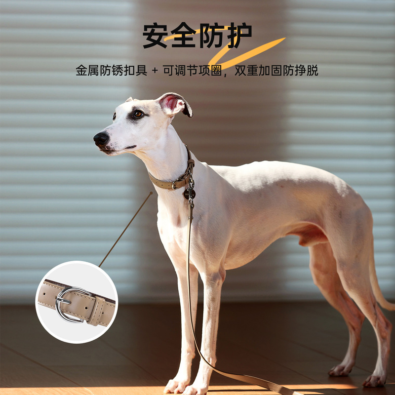 wakytu英国狗狗颈圈脖圈项圈小狗中大型犬宠物用品泰迪牵引防爆冲|undefined