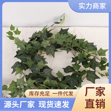 �羳2�׳����ٷ����ٗl �G�~�����������҃ȱڒ��b� ����Gֲ��