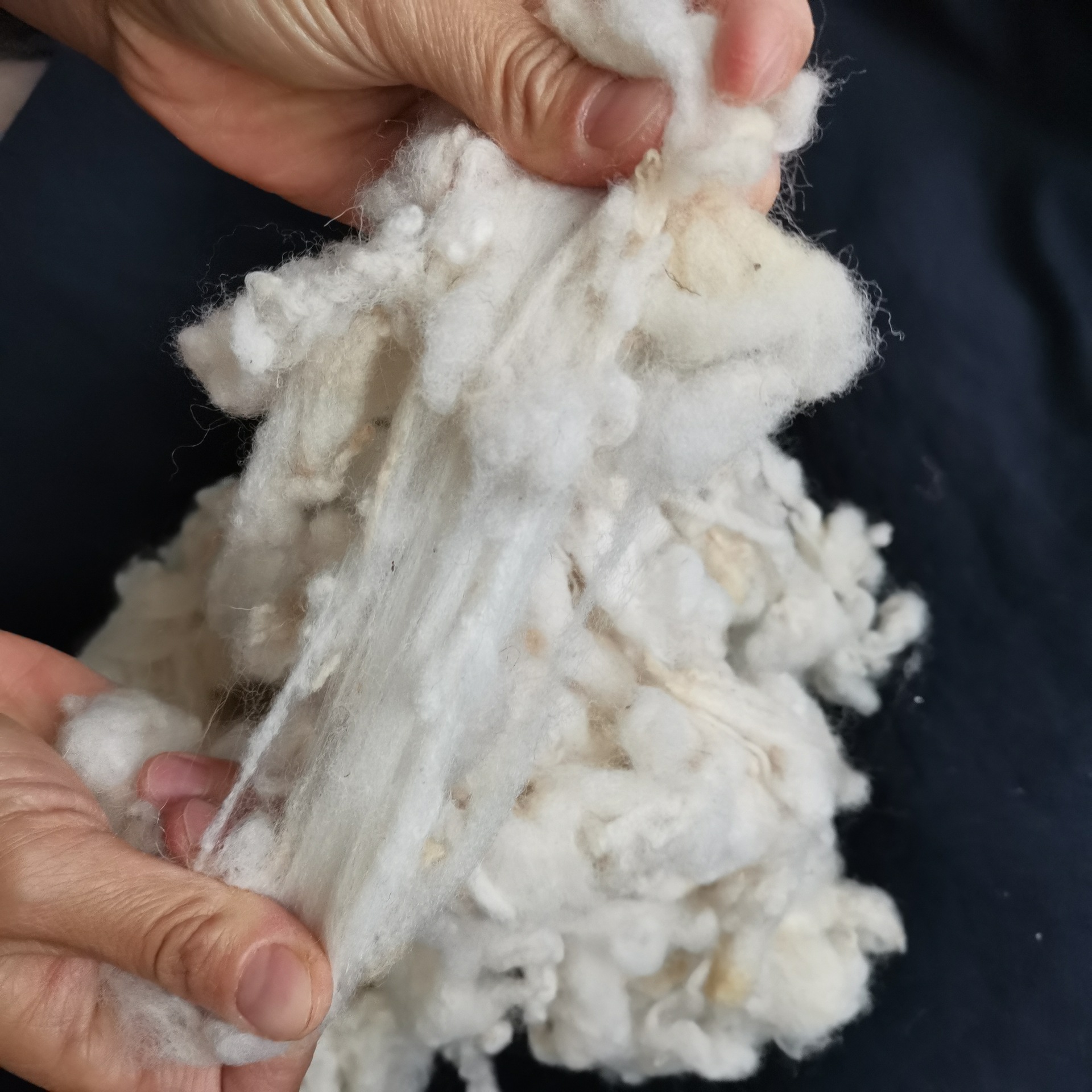 a0a647dc5c610af1f3eee6c8b9f5ac