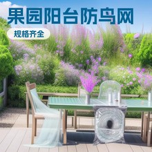 跨境聚乙烯pe果园防鸟网绿色庭院阳台花卉透明防护防鸟网Bird net