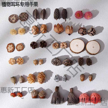 ֲhȻɹϹDIYςԄС