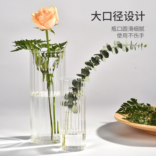 Transparent decorative glass vase Nordic ins style living room creative ornaments vertical pattern vase dried flowers hydroponic flower arranging device