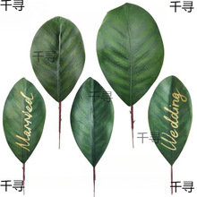 ���m�~ ����廨�~�zƬ �羳��Y�����~Ƭ��� ���������^�z����