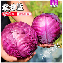 ɽ�|�۹����r�ϸ��{���r�ϰ��˾��ĲˬF�ɬF�l���rֱ�_�a��ֱ�l