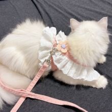 ؈·ļرС؈KÓʽ؈K