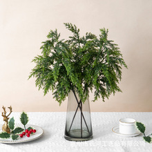 �羳���R�d�}�Q�S���؃r����Gֲ؈β����ᘰ����bҾӲ廨�[��