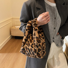 �������������Ů2025�＾�¿�r�Ђ��Ԇμ�����e�͹�ë�qҸ�°�