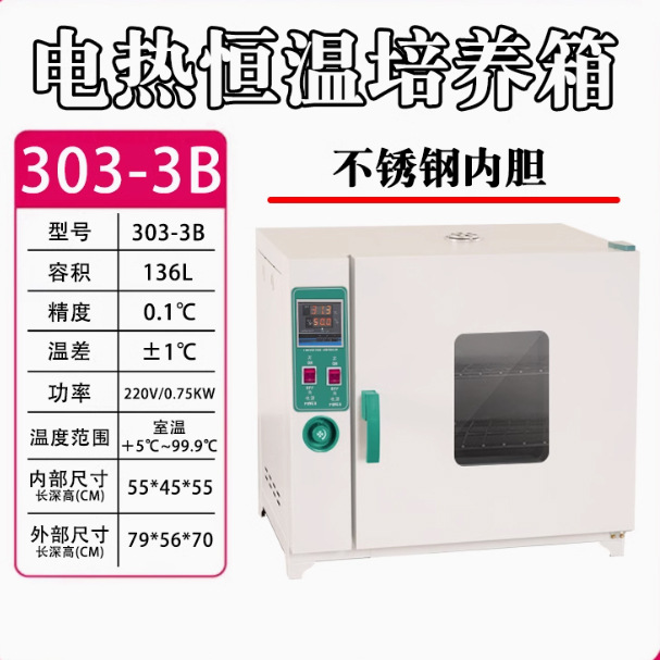 Incubadora de temperatura constante 136L de acero inoxidable con soplado 303 - 3B