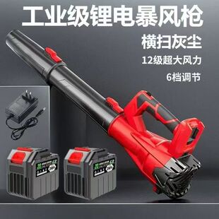 Rechargeable blower powerful hair dryer high-power industrial lithium storm gun wireless soot blower snow blower