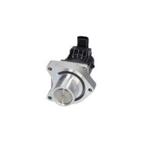 Other starting systems gas recirculation valve