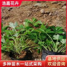 ���~ί��� ���~ί��� ���ݵر��ݻ����l �����F؛