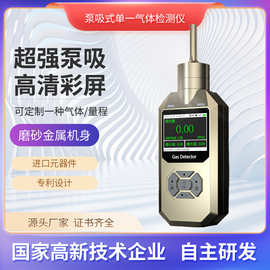 普利通泵吸式甲醛气体检测仪便携式气体探测器 PLT300-CH20测定仪