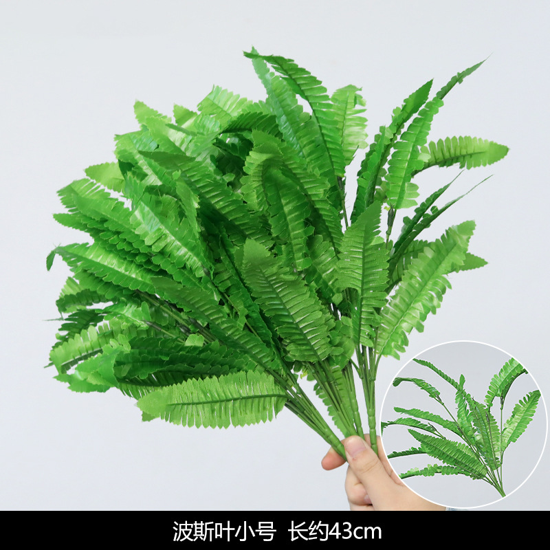 Small bunches of Persian leaves