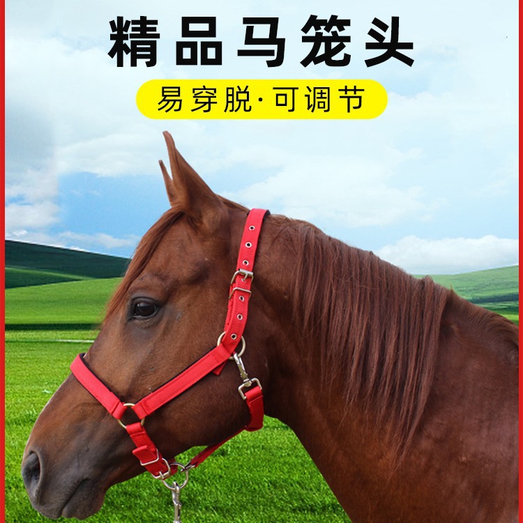 Horse Halter Rope, Equestrian Supplies, Horse Halter Headgear for Large & Small Ponies, Horse Gear Head Cover Accessories Full Set