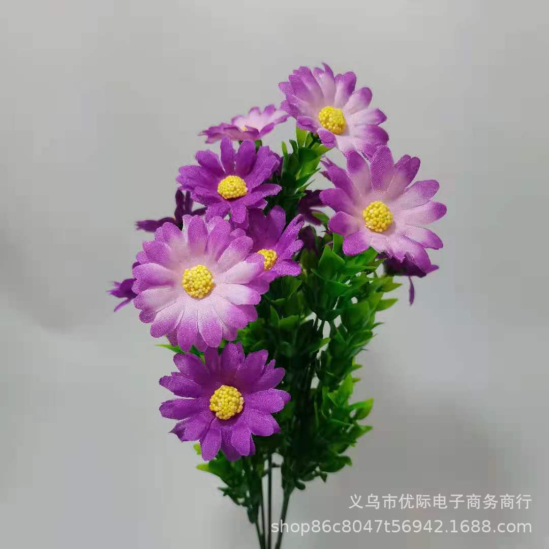 df89bbdbf2fa25c9bb1b137445c832