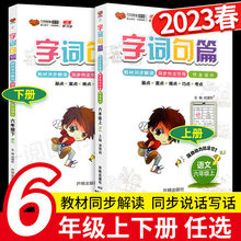 23小学字词句篇六年级上册下册语文人教版段篇章同步专项练习册厂