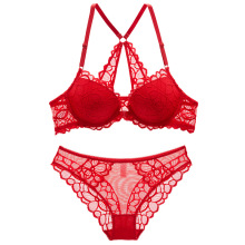 欧美秋季新款前扣文胸 性感蕾丝美背小胸聚拢内衣套装现货批发