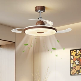 吸顶灯;吊灯;风扇灯