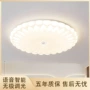 新款客厅简约羽毛卧室灯
