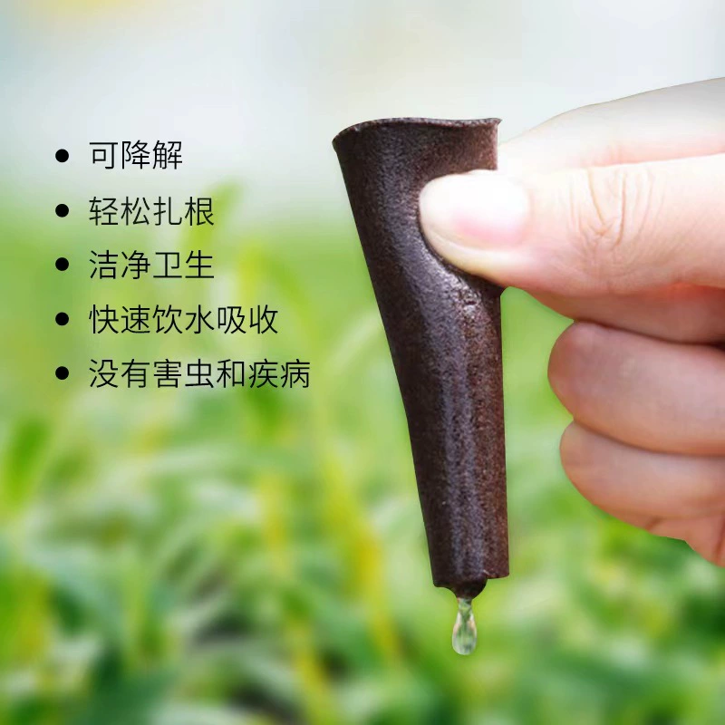 Посадка хлопка с биоуглем, гидропонная система для хлопка, удобрение AB, посадка синего цвета, совместимо с Aerogarden, гидропонная система, бесплатный образец для электронной коммерции.