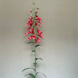 ����·����ɭϵë���S��ˇ�b������� ���R·�Ż���Y��̨����