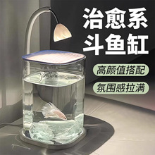 2025�¿�~��С�;W�t�����׿͏d�����^�p�~�쾰�k���ҹ�λ�~��