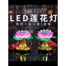 LED莲花灯供佛灯 家用观音荷花长明灯电池插电款室内佛前供奉用品