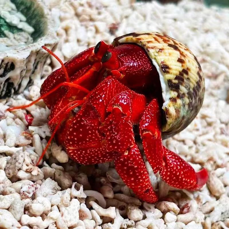 0c4ad3ec-d821-4ac8-9bfe-a06602231142.jpe