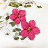 Fashionable multicoloured spray paint, retro earrings, European style, flowered