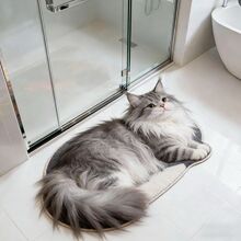 硅藻泥地垫可爱猫咪吸水速干浴室地垫家用立体耐磨防滑入户门地垫