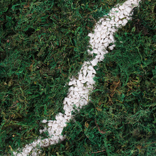 ̦�\�ɲ��o���  ��̦�Gֲ�b�ֲ���쾰΢���^����ˮ�ݲ�Ƥ�߼���