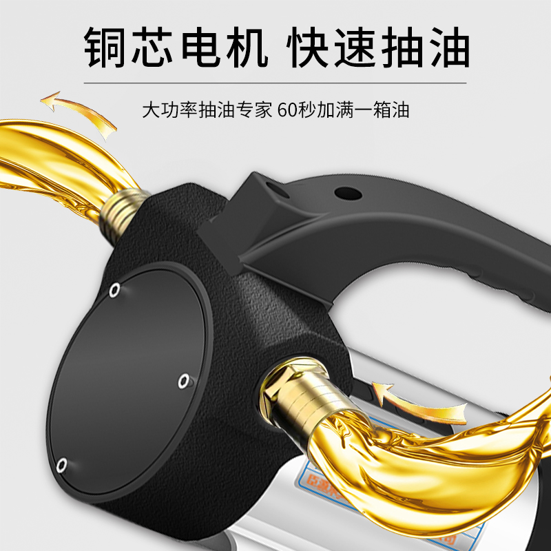 Bomba de bombeo eléctrico 12V24V220V bomba de diesel voltaica bomba de autoaspiración bomba de aceite bomba de combustible pequeña bomba de aceite