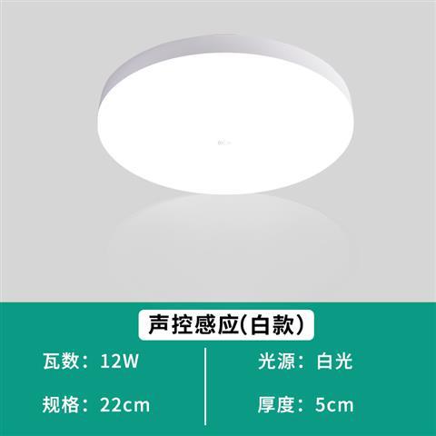 Full moon sound and light control 12 watts (diameter 22cm)