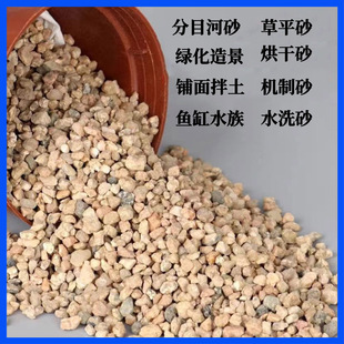 ˮϴ��ɳ��Ŀ��ɳ���Bˮ�������ɰ�{��ɳ�������G���쾰�ֺ�ɳ