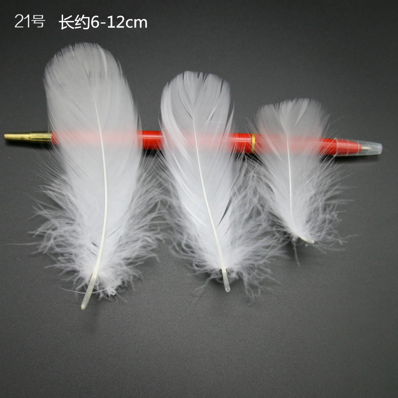 중간에 떠 있는 약 100개의 뿌리