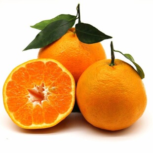 Sichuan Grable Citrus Spot в сезон свежих фруктов.
