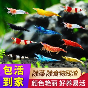 �^�p�r�ښ��r�坍���幤���^�p���r������w���B��ˮ���쾰С���r