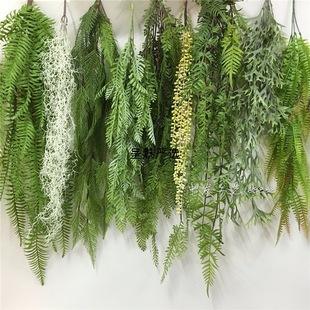 �Gֲ�ڒ���m�ٻ������Gɫֲ��ާ��ڹܵ�����b�ާ�~�ٗl